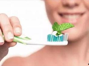 吃土瓜牙齿出血,营养美味背后的健康隐患