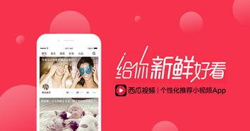 吃瓜头条图片高清壁纸,高清壁纸带你领略吃瓜头条视觉盛宴