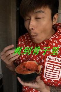 吃瓜王者表情图,揭秘网络社交中的趣味与智慧