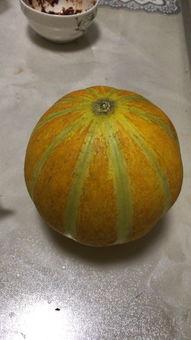 库瓜孕妇可以吃,营养均衡，呵护母婴健康