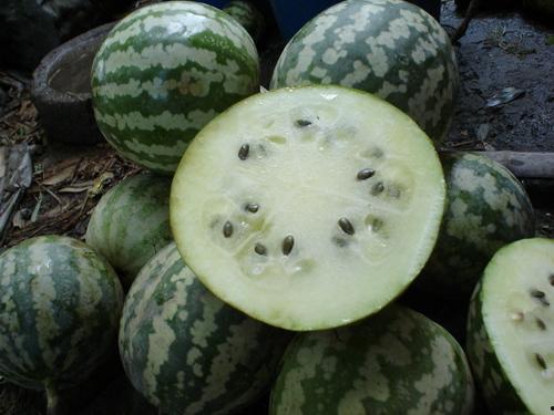 白太空瓜怎么吃,白太空瓜的多样食法探索