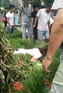 商丘女骑吃瓜事件,网络热议背后的真相与反思