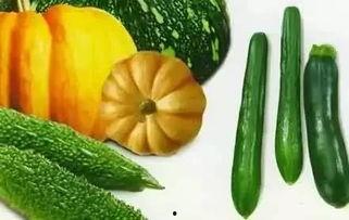 残梦吃瓜,揭秘娱乐圈的幕后风云