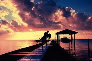 吃瓜狼落日之城时长,一场跨越时空的奇幻之旅