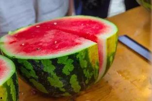 上学校吃瓜,揭秘校园里的那些“秘密”