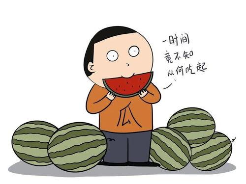 带你吃瓜的英文,Exploring the World of Gossip: A Journey with 'Eat the Watermelon'