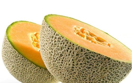 美年达吃哈密瓜,夏日饮品新搭配