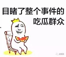 吃瓜不忘种,品味生活乐趣