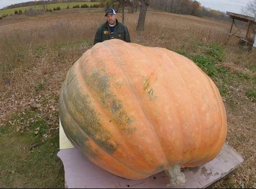 吃瓜吃到真瓜,揭秘娱乐圈背后的真相