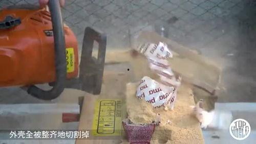 奇葩汽车吃瓜方式,揭秘汽车界的“吃瓜”风云