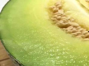 吃一天哈密瓜会胖吗