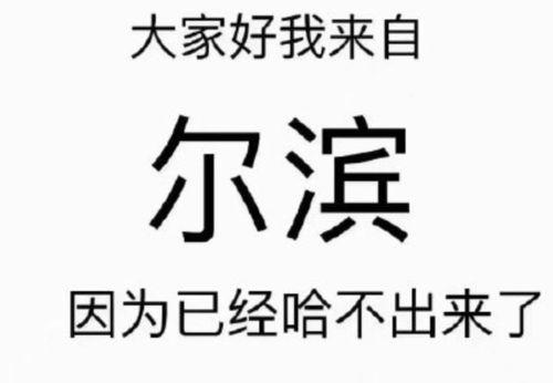 剧本杀北京吃瓜,一场吃瓜盛宴背后的悬疑故事