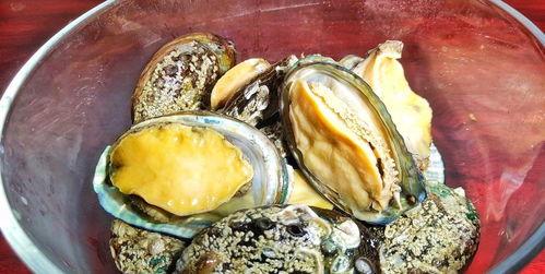 潮汕刺瓜鲍鱼怎么吃,传统美食的独特风味与烹饪技巧