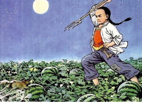 我像闰土吃瓜,夏日乡村生活的悠闲时光